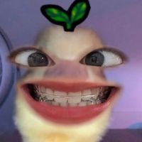 asadlittleponyy