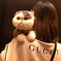 jiji9632
