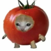 meowmeowlovetomat