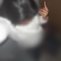 hanaiti_rsh2