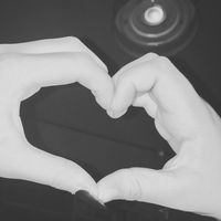 xo31__no