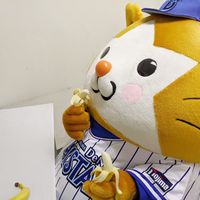 オリジナル楽曲 - まぼ