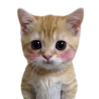 오리지널 사운드 - 갬성송