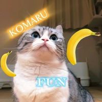 оригінальний звук