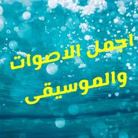 الصوت الأصلي