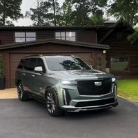 saydulaev_lion0