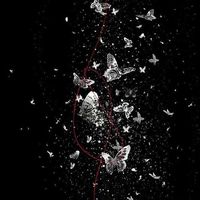 オリジナル楽曲 - 咲