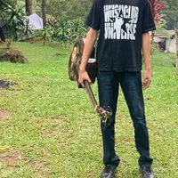 suara asli - Mnstwn__