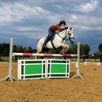 showjumper.beeke