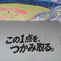 オリジナル楽曲 - KAMOMELIFE