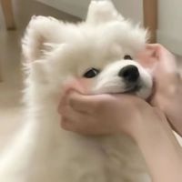 original sound - holasongg8