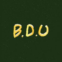 오리지널 사운드 - B.D.U (비디유)