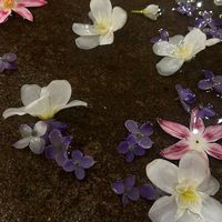 elenisaccount