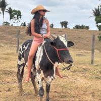 dafynebarros