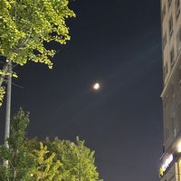 오리지널 사운드 - yulley10