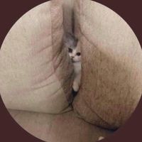 oat__xx