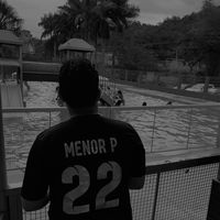 mnrrp100sdds