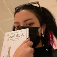 thebookversion