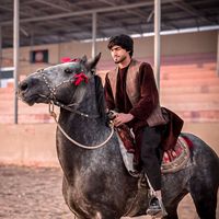 sadam_omar_7