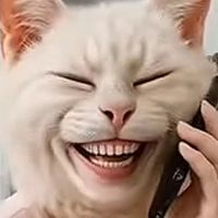 ปากดี โก๊ะ นิพนธ์