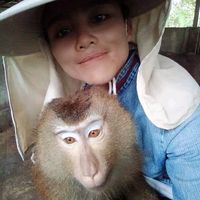 เสียงต้นฉบับ - ดาวดอกไม้เหล็ก