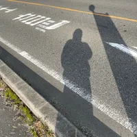 original sound - elzee300