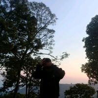 fuchya49