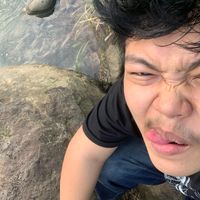 yogzx211