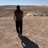 shira1198
