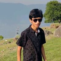 ch_abdulsattar_bhatti