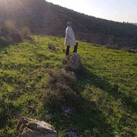 sossos497