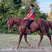 karomeesara