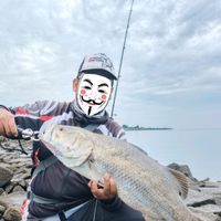 original sound - YoepBoss