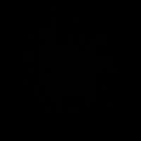 xdlp__1