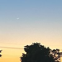 オリジナル楽曲 - もやし大好き女