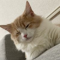 maruta_hanakuso