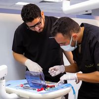 الصوت الأصلي