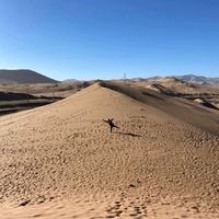 marcoleta8