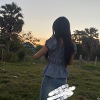 pov80915
