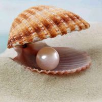 perle047