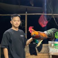 original sound - Francis Arga II