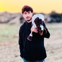 الصوت الأصلي