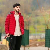 elyan
