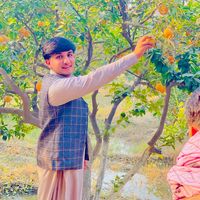 atxshinwari1