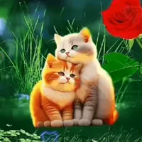 original sound - haidong1137