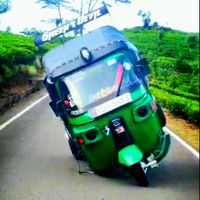 greenghost5463
