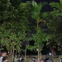 suara asli - dewi