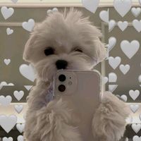 samira_je8