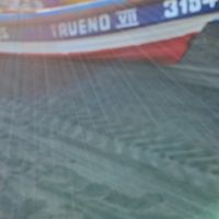 trueno0559