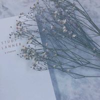 オリジナル楽曲 - 絶対オタク辞めれない